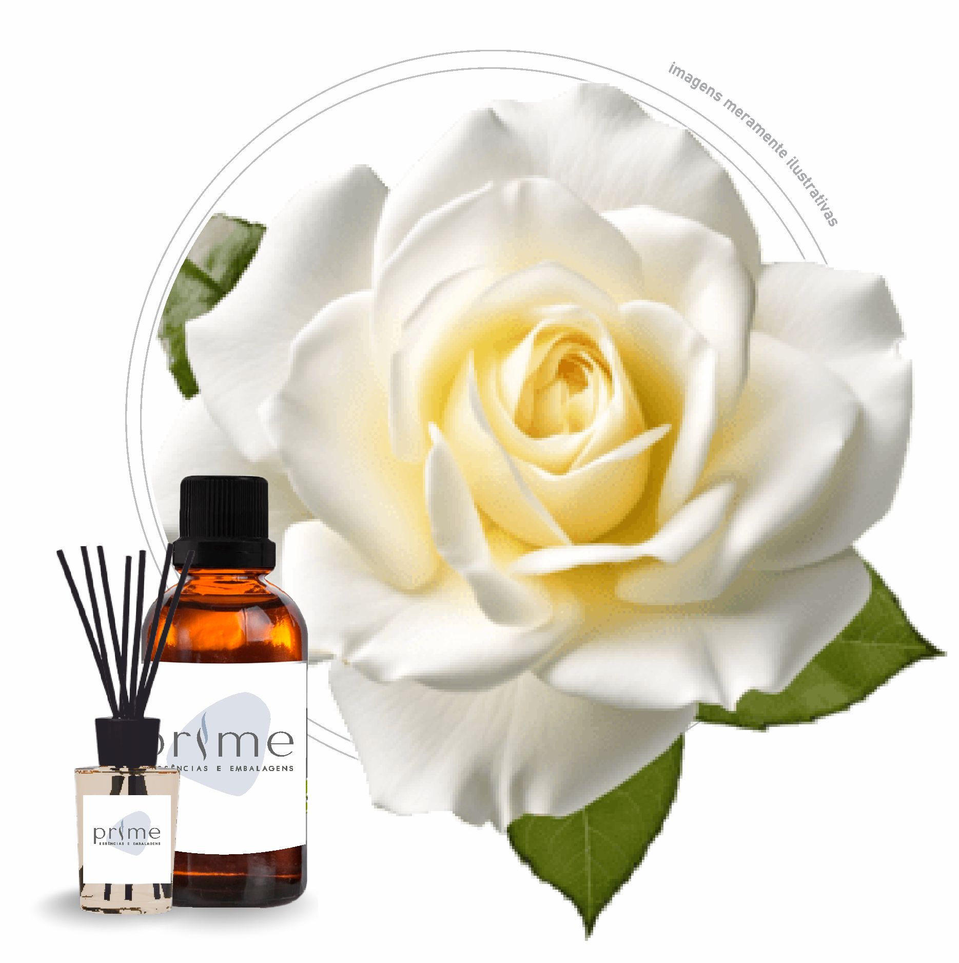 Essencia Premim para Aromatzador Rosas Brancas